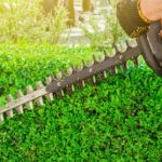 Jak dbać o spalinowy sprzęt ogrodniczy?