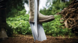 Jesienne sadzenie róż – krok po kroku