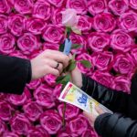 Silan Ylang Ylang&Vetiver Scent – wyjątkowy zapach i jakość w służbie środowisku